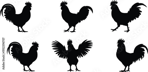 Black silhouettes of roosters and chickens in various poses including standing and crowing isolated on white background for farm design