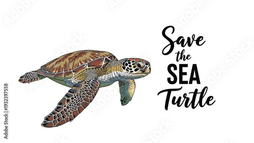 Green sea turtle swimming gracefully in the ocean is featured alongside the text save the sea turtle in this conservation illustration.