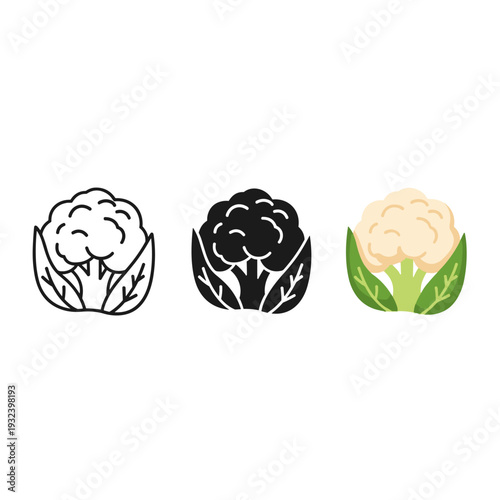 Three cauliflower logos in different colors and styles Vector