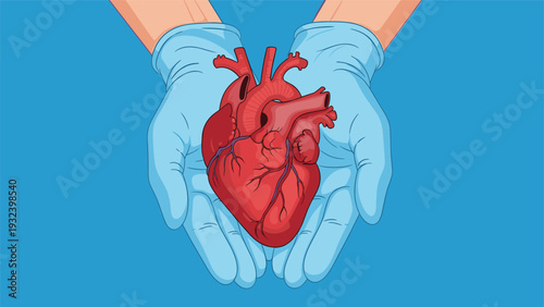 Realistic human heart being carefully held in two hands wearing blue surgical gloves on a solid blue background representing medical care.