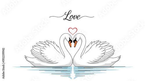Love message is depicted by two white swans facing each other to create a heart shape with their necks on calm blue water with a red heart.