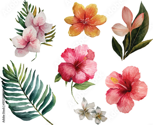 set of flowers and leaves