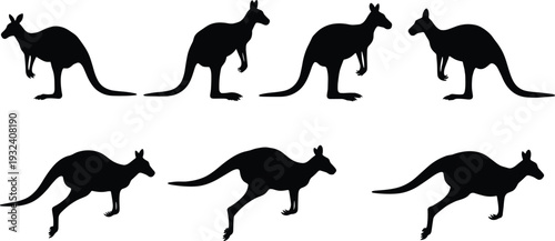 Kangaroo silhouette set in different poses and jumping positions, Australian wildlife animal black shadow collection isolated on white background for design and vector illustration use