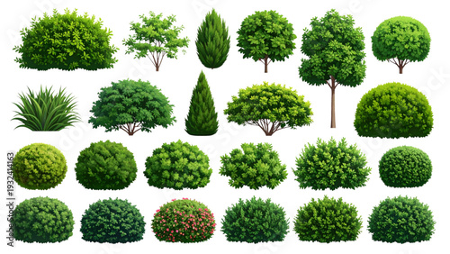 Realistic green bushes and garden shrubs collection, landscape plant set, foliage design elements for architecture, decorative nature background, cad drawing flat vector illustration