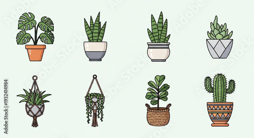 Collection of eight potted house plants in various decorative pots.