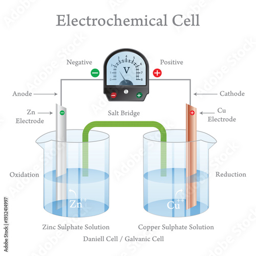 Electrochemical Cell Educational Diagram of Daniell Galvanic Cell with Zinc and Copper Electrodes Salt Bridge Voltmeter and Redox Reactions.