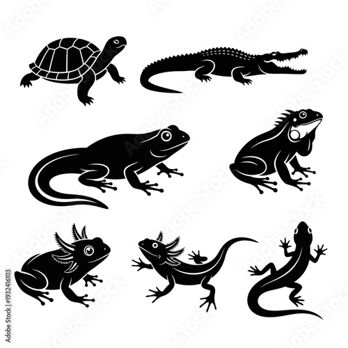 Amphibian and Reptile Silhouette Set Turtle Crocodile Frog Salamander and Lizard