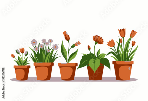 Illustration of assorted colorful potted flowers showcasing diverse blooming tulips, daisies, and other floral varieties in terracotta pots on a neutral background