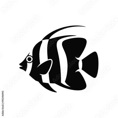 Elegant black and white silhouette of a discus fish swimming gracefully