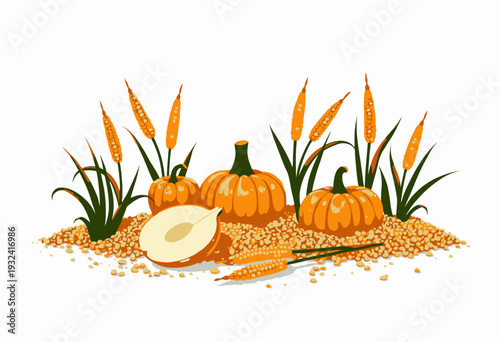 Illustration of vibrant autumn harvest featuring pumpkins, sliced squash, and golden wheat stalks arranged on scattered grains symbolizing fall abundance