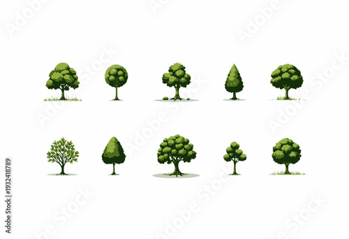 Illustrative Collection of Diverse Tree Species Showcasing Various Shapes, Sizes, and Leaf Patterns on a Clean White Background