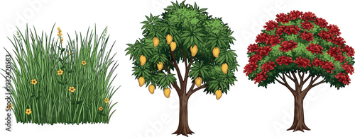Set of garden plants including grass flowers, mango fruit tree and red flowering tree isolated botanical nature landscape vector illustration collection