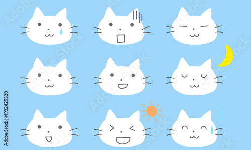 かわいい白猫の顔