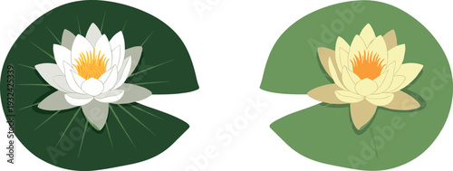 Water lily flowers on green lily pads vector illustration set, aquatic lotus plants isolated on white background, botanical pond flowers for nature, garden, and decoration design