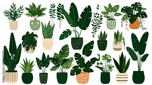 Indoor potted house plants collection, decorative greenery set, modern botanical design elements, tropical leaf illustration, cad drawing flat vector illustration