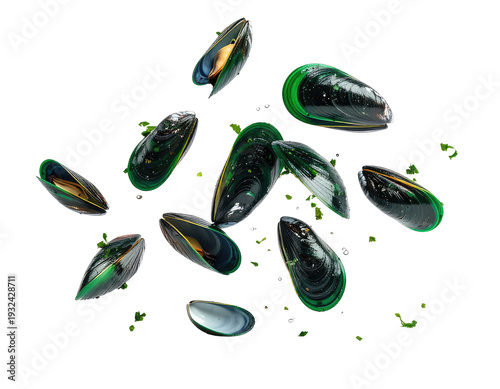 Freshly harvested green mussels scattered on a black background with scattered herbs