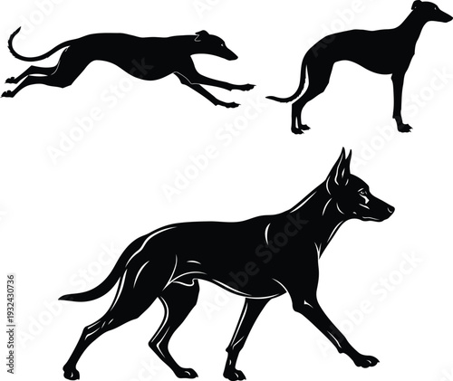 Greyhound dog silhouettes in different poses running and standing still