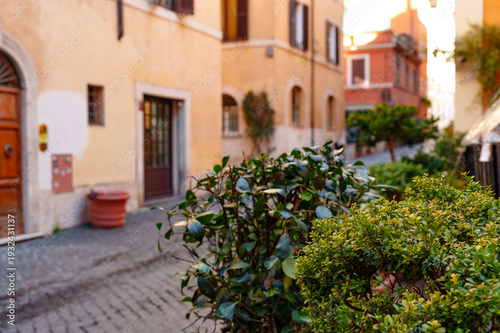 Fototapeta premium Quiet street in Rome with greenery and buildings during sunset