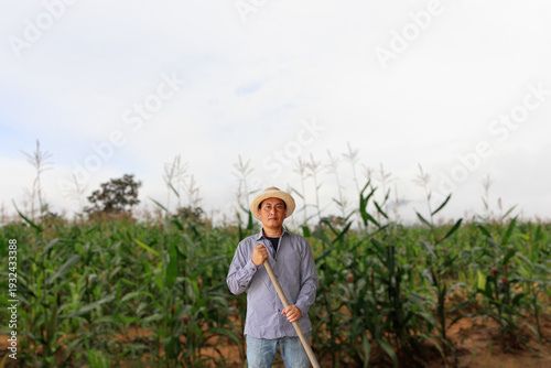 farmer stands in lush cornfield, holding a hoe in the middle of field; farming and rural life