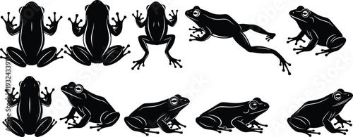 Frog silhouettes set amphibian collection various poses jumping sitting wildlife nature vector illustration black shapes animal design element graphic
