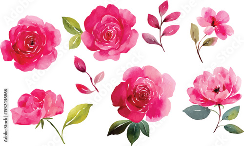 set of pink roses vector