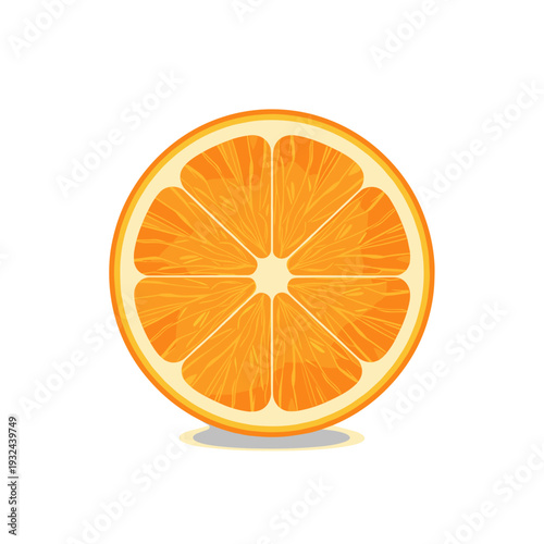 Realistic illustration of a juicy orange slice showing pulp texture