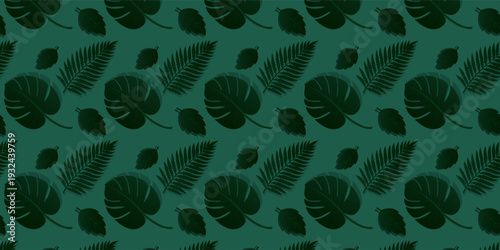 Tropical banners, poster, cards set with Creative compositions of podium palm leaves and branches nature. Abstract botanical  seamless pattern design templates with copy space for text.