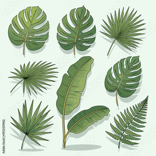 Set of realistic tropical leaf illustrations with soft shadows