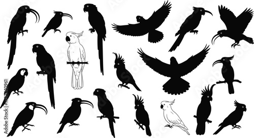 Bird Silhouettes Set Featuring Parrots, Cockatoos, and Eagles for Wildlife, Nature, and Bird Design Projects