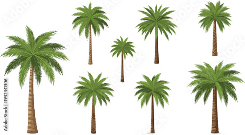Cartoon Palm Tree Vector Collection Featuring Tropical Island Designs with Green Fronds and Brown Trunks for Summer and Beach