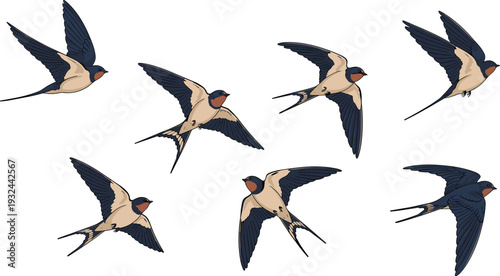 Swallow Bird Vector Collection Featuring Flying Silhouettes with Dark Blue Wings and Beige Bodies for Nature and Wildlife Art