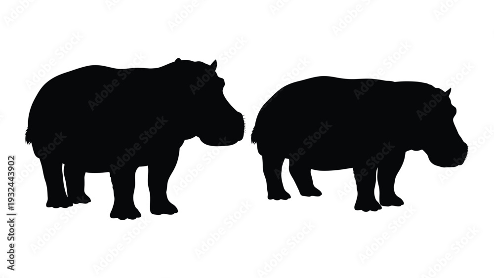 Fototapeta premium Two hippopotamuses are depicted in black silhouette against a plain white background