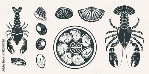 Vintage style illustration of various marine life and seashells
