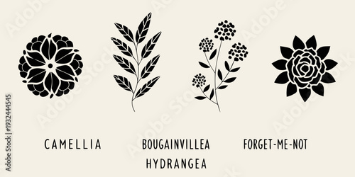 Floral illustrations depicting camellia bougainvillea hydrangea and forget me not