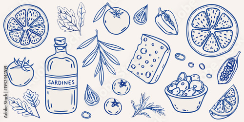 Hand drawn illustration of citrus sardines and botanical elements