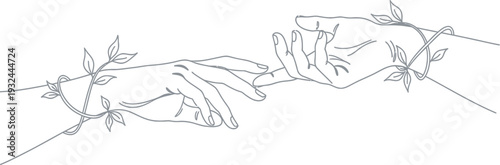 A sketch of two insects possibly bees or wasps connected at the legs on a white background