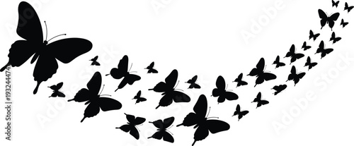Butterfly silhouette swarm illustration, flying insects vector, nature motion design, decorative curved pattern, wildlife art concept, abstract black butterflies