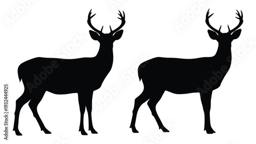Two majestic deer silhouettes stand side by side showcasing their impressive antlers
