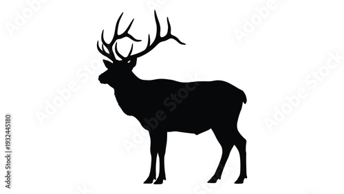 Silhouette of a majestic stag with large antlers against a white background