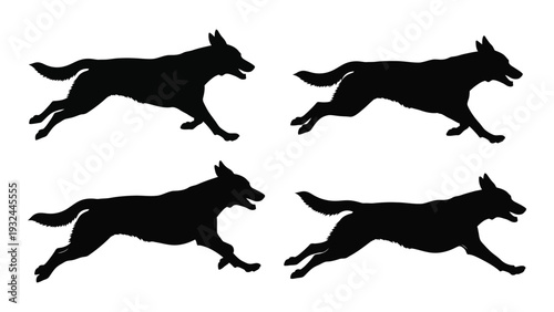 Four black silhouettes of german shepherd dogs running and leaping