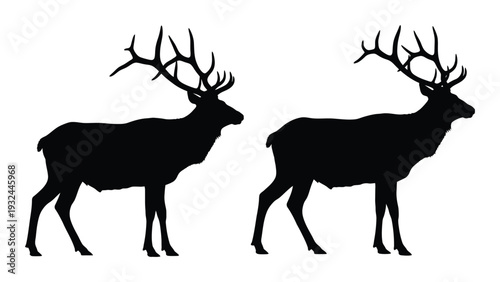 Silhouettes of two majestic elk with large antlers facing opposite directions