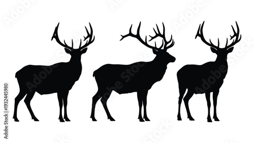 Silhouette of three majestic deer standing in a row facing forward