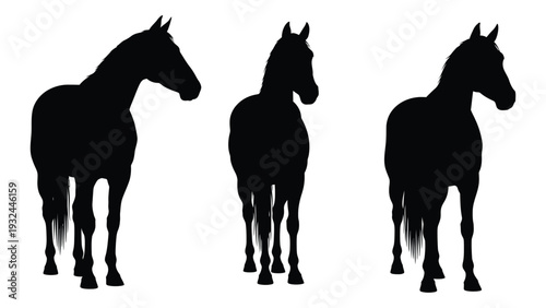 Three black silhouettes of horses in varying poses against a white background