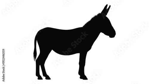 Silhouette of a donkey stands in profile against a white background