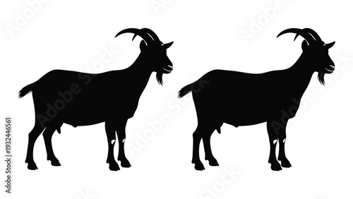 Two black silhouettes of goats facing opposite directions are prominently displayed