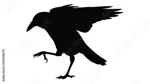 A striking silhouette of a raven perched with one foot raised