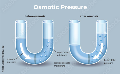 Osmotic Pressure Diagram with Semipermeable Membrane Illustration