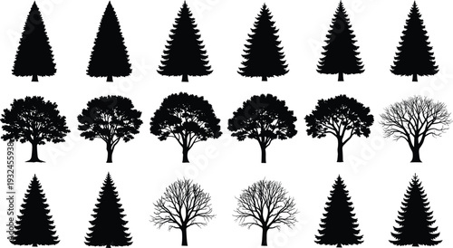 Black silhouette illustration of diverse trees, coniferous evergreens, deciduous broadleaf, bare branches, forest landscape, botanical design, seasonal nature diversity