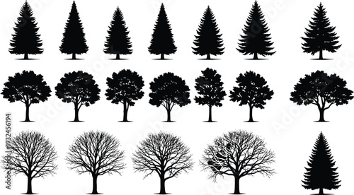 Black silhouette illustration of diverse trees, coniferous pine, deciduous leafy, bare branches, botanical design, forest landscape, seasonal nature art