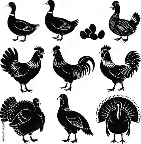 Black silhouette illustration of farm birds including ducks, hens, roosters, turkeys, pigeons, and eggs for educational and artistic use